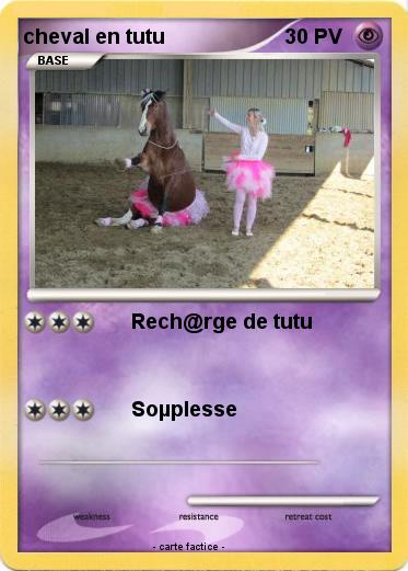 Pokemon cheval en tutu