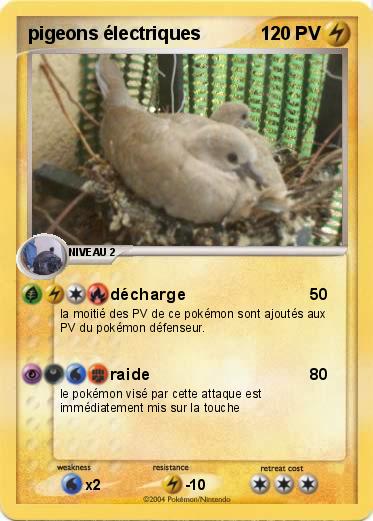 Pokemon pigeons électriques