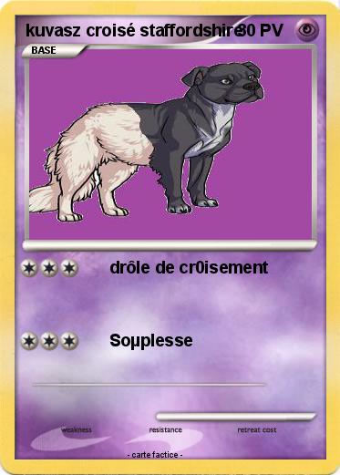 Pokemon kuvasz croisé staffordshire