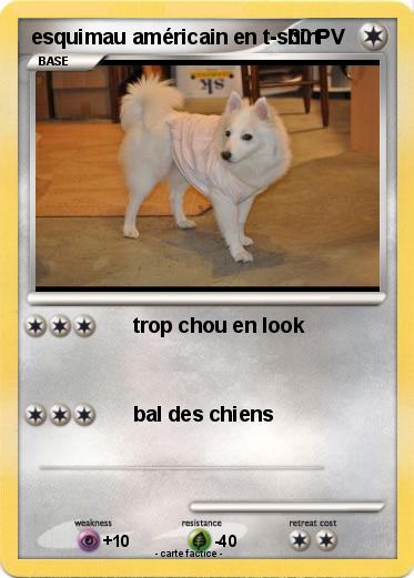 Pokemon esquimau américain en t-shirt