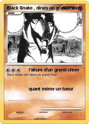 Pokemon Black Snake , dirais un grand chien