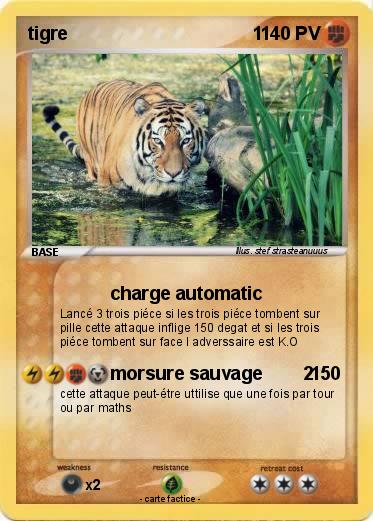 Pokemon tigre                                    1