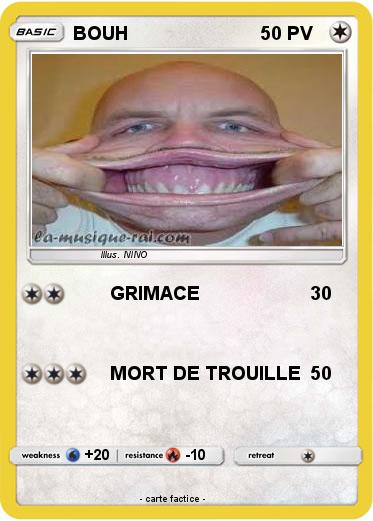 Pokemon BOUH