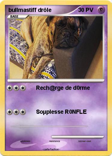 Pokemon bullmastiff drôle