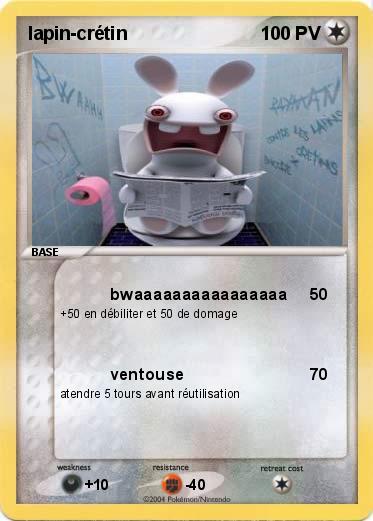 Pokemon lapin-crétin