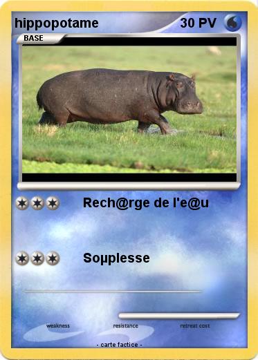 Pokemon hippopotame
