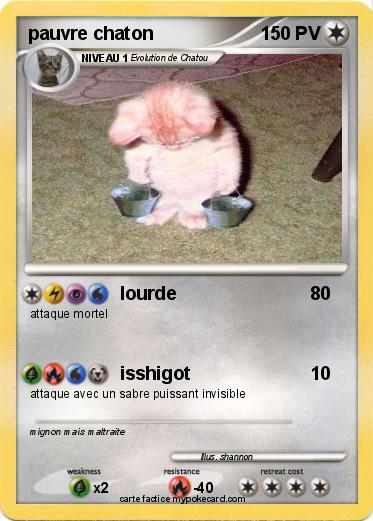 Pokemon pauvre chaton