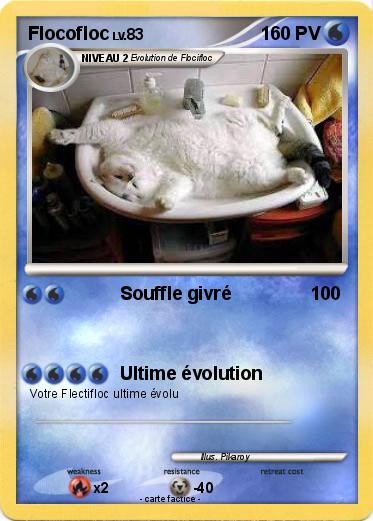 Pokemon Flocofloc