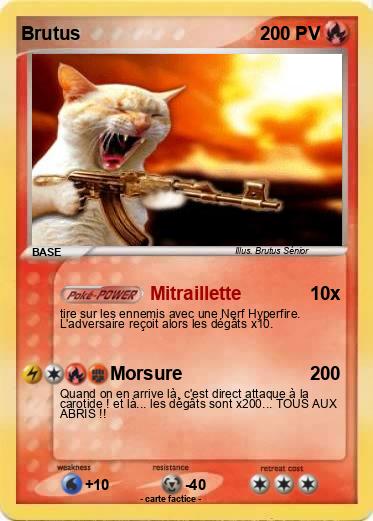 Pokemon Brutus