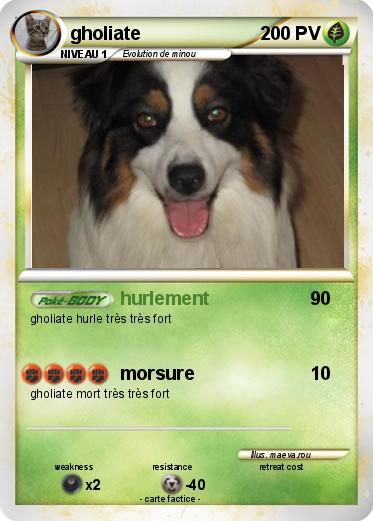 Pokemon gholiate