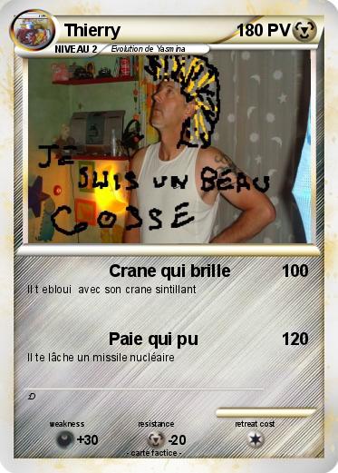 Pokemon Thierry