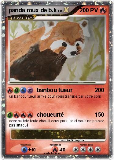 Pokemon panda roux de b.k