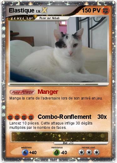 Pokemon Elastique