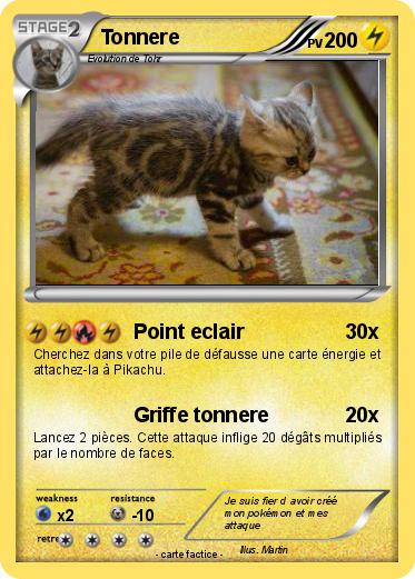 Pokemon Tonnere