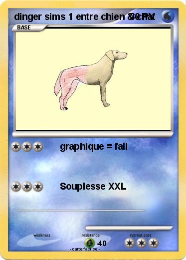 Pokemon dinger sims 1 entre chien & chat