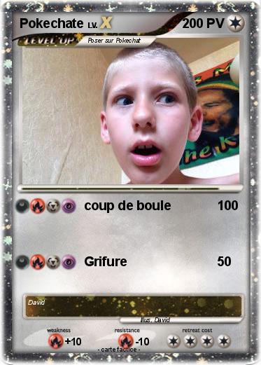 Pokemon Pokechate