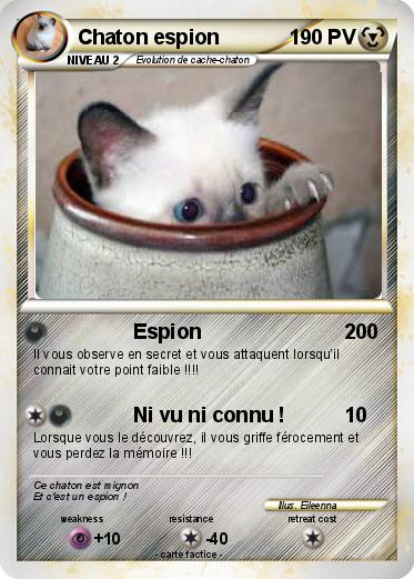 Pokemon Chaton espion