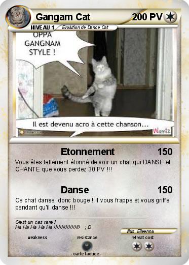 Pokemon Gangam Cat