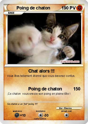 Pokemon Poing de chaton