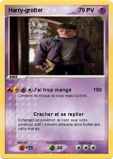 Pokemon Harry-grotter