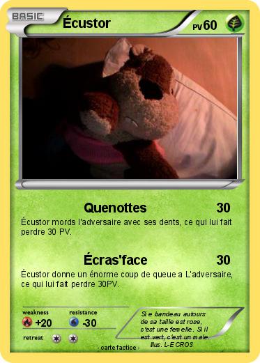 Pokemon Écustor