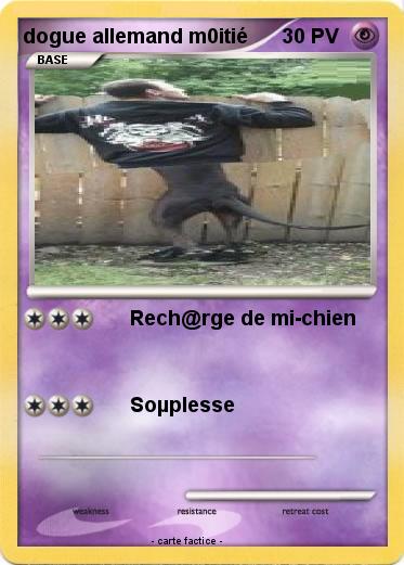 Pokemon dogue allemand m0itié