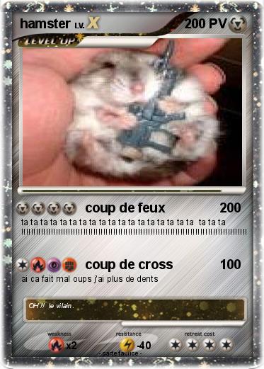Pokemon hamster