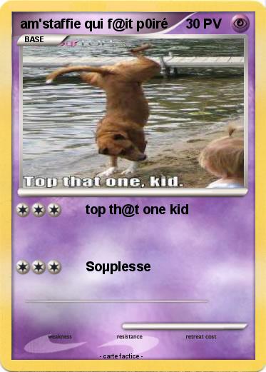 Pokemon am'staffie qui f@it p0iré