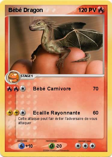 Pokemon Bébé Dragon