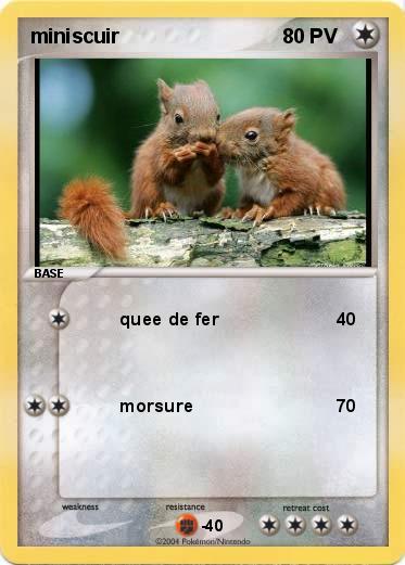 Pokemon miniscuir
