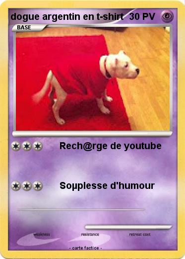 Pokemon dogue argentin en t-shirt