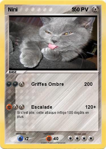 Pokemon Nini                                     5