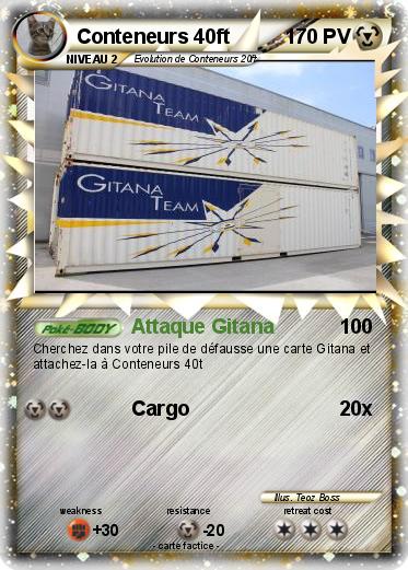 Pokemon Conteneurs 40ft