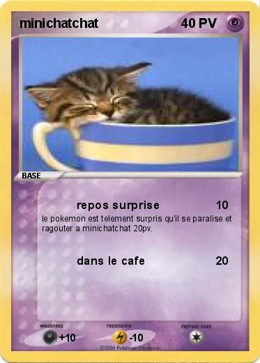 Pokemon minichatchat