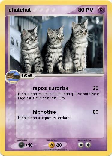 Pokemon chatchat