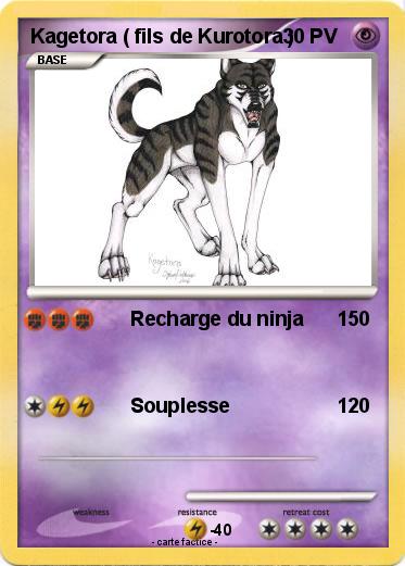 Pokemon Kagetora ( fils de Kurotora )