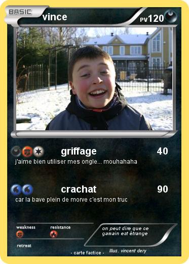Pokemon vince