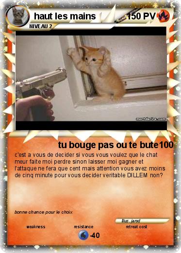 Pokemon haut les mains