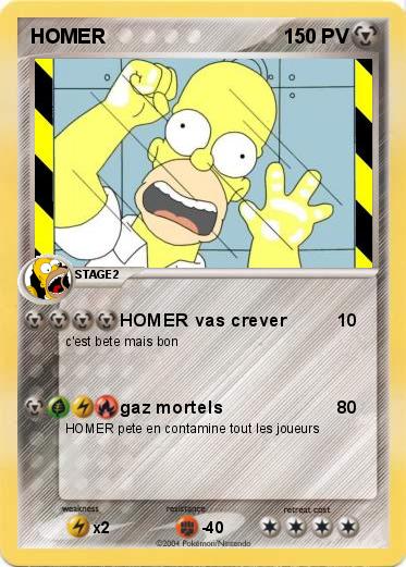 Pokemon HOMER