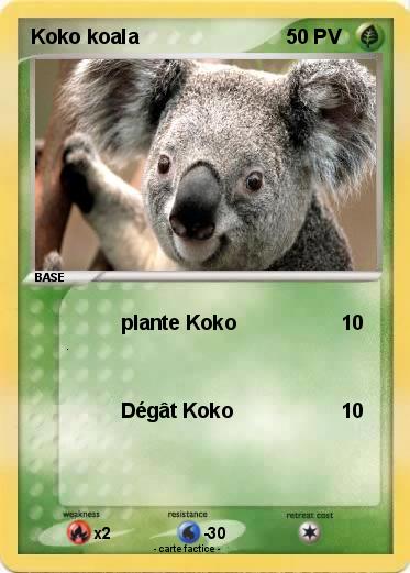 Pokemon Koko koala