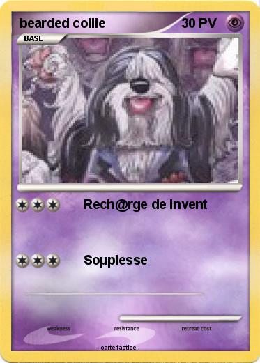 Pokemon bearded collie