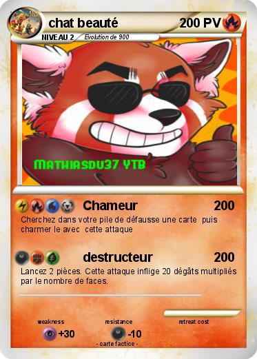 Pokemon chat beauté