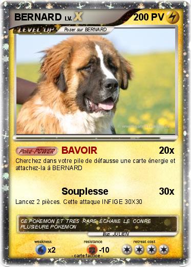 Pokemon BERNARD