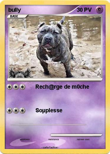 Pokemon bully