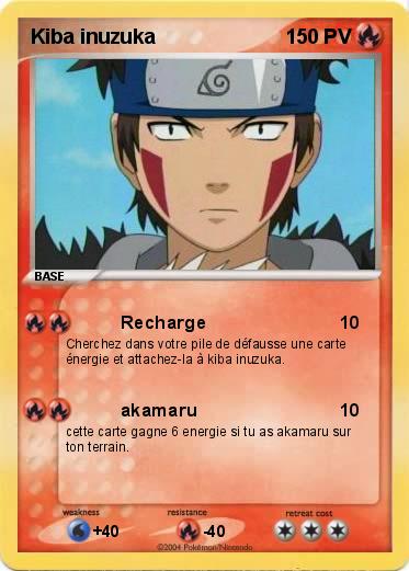 Pokemon Kiba inuzuka