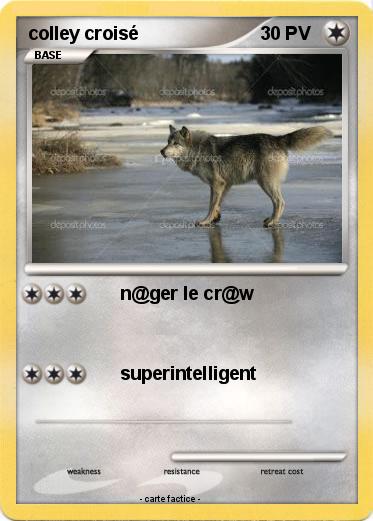 Pokemon colley croisé