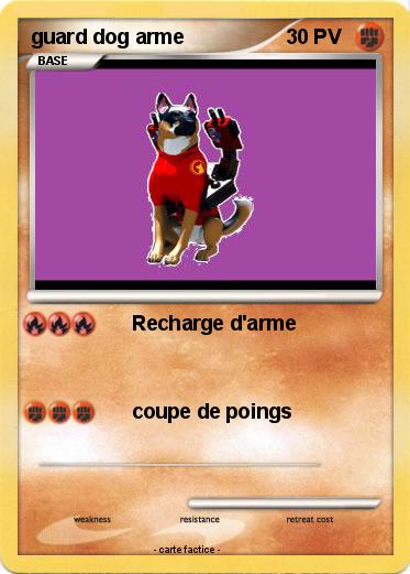 Pokemon guard dog arme