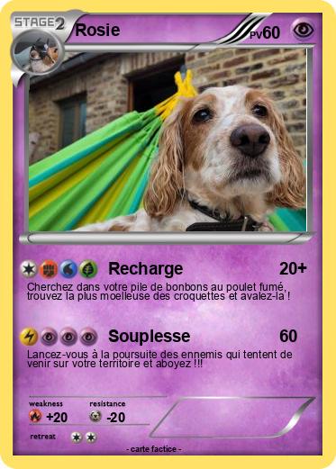 Pokemon Rosie