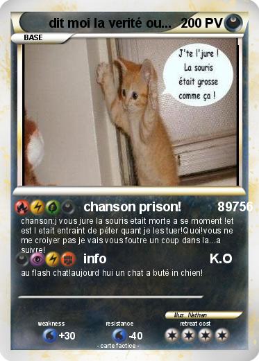 Pokemon dit moi la verité ou...