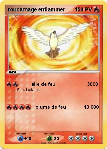 Pokemon roucarnage enflammer                   